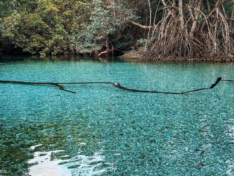 Balneario Arroyo Salado