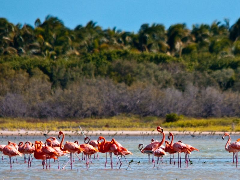Laguna de Oviedo